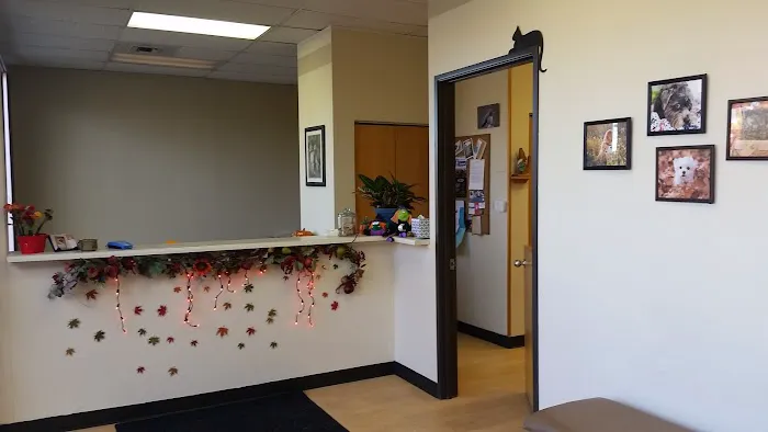 Valley Veterinary Hospital Denver Picture 5