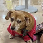 Barclay Hills Animal Clinic