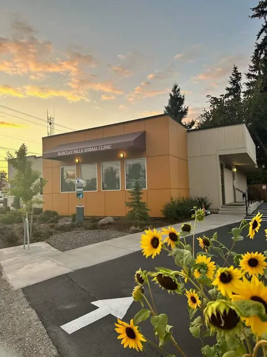 Barclay Hills Animal Clinic Picture 3