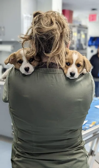 Barclay Hills Animal Clinic Picture 10