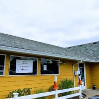 First City Veterinary Hospital ico