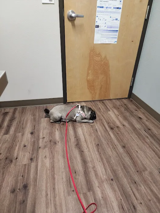 Pioneer Animal Hospital Picture 6