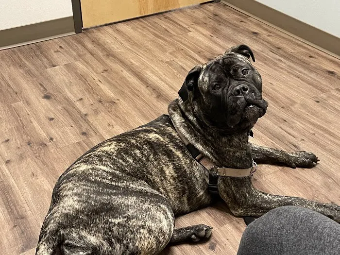 Pioneer Animal Hospital Picture 9