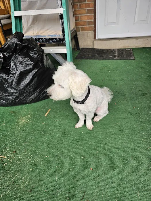 Animal Clinic-North Picture 7