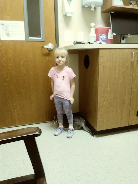Community Pet Hospital, Riverdale Picture 4