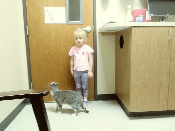 Community Pet Hospital, Riverdale Picture 7