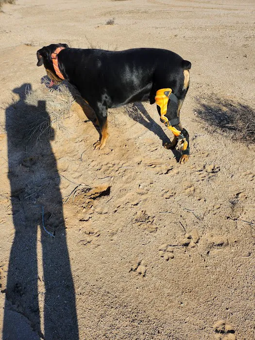 OrthoPets Veterinary Orthotics and Prosthetics Center Picture 3