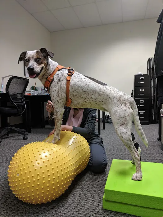 OrthoPets Veterinary Orthotics and Prosthetics Center Picture 6