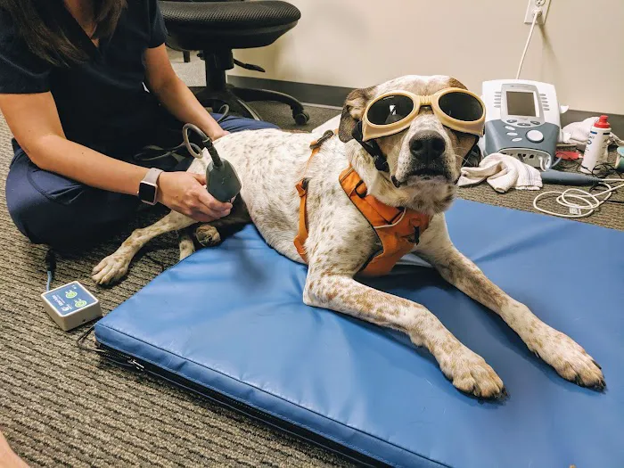 OrthoPets Veterinary Orthotics and Prosthetics Center Picture 9