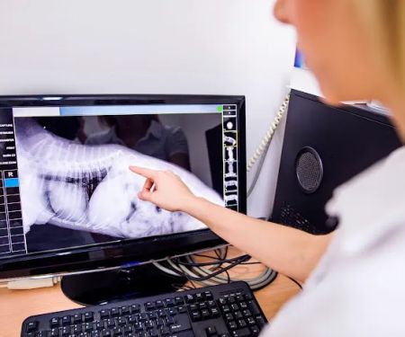 Choice Veterinary Specialists