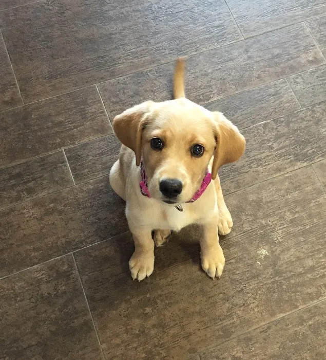 Liberty Animal Hospital Picture 2