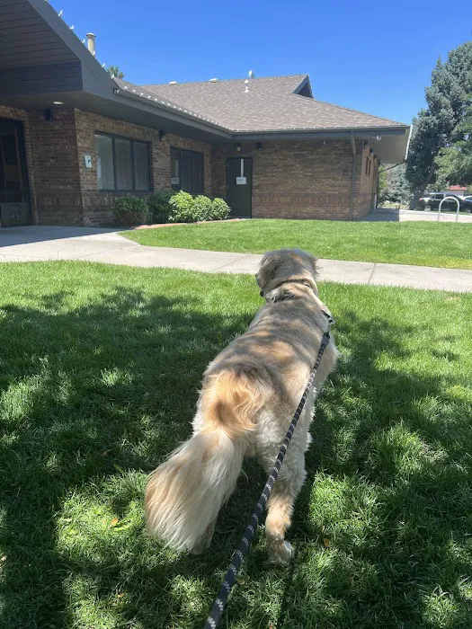 Arrowhead Animal Hospital Picture 8