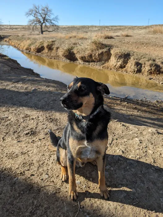 Arrowhead Animal Hospital Picture 10