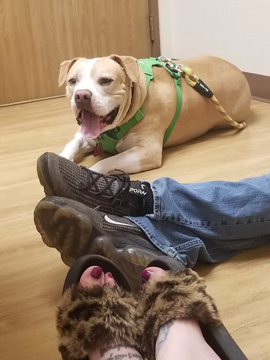 Arrowhead Animal Hospital Picture 6