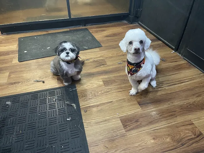 Banfield Pet Hospital Picture 4