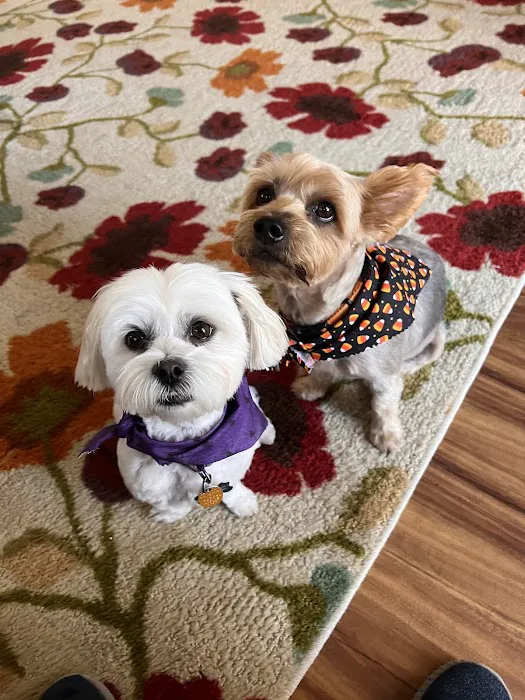 Banfield Pet Hospital Picture 1