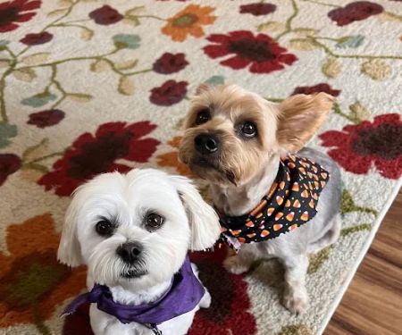 Banfield Pet Hospital