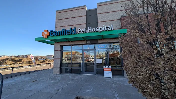 Banfield Pet Hospital Picture 2