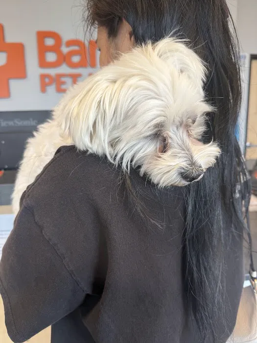 Banfield Pet Hospital Picture 5