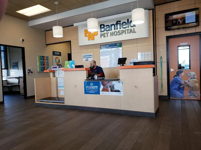 Banfield Pet Hospital Picture 6