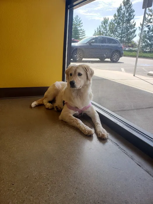 Legacy Veterinary Clinic Picture 6