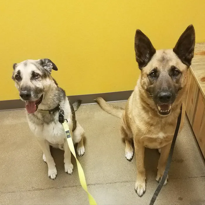 Legacy Veterinary Clinic Picture 10