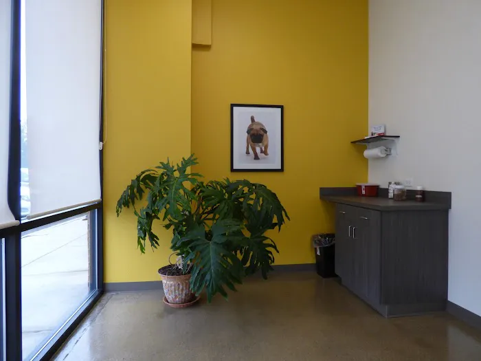 Legacy Veterinary Clinic Picture 9