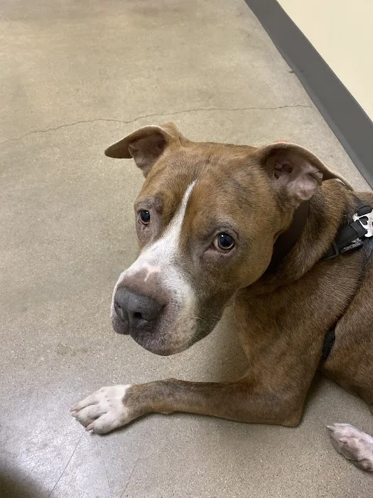 Vetco Total Care Animal Hospital Picture 2