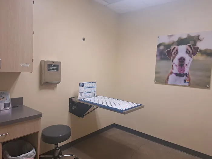 Vetco Total Care Animal Hospital Picture 3