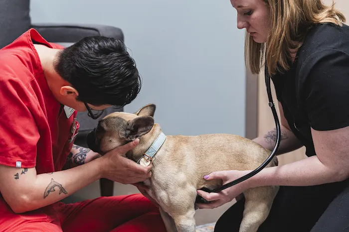 Church Ranch Veterinary Center Picture 2