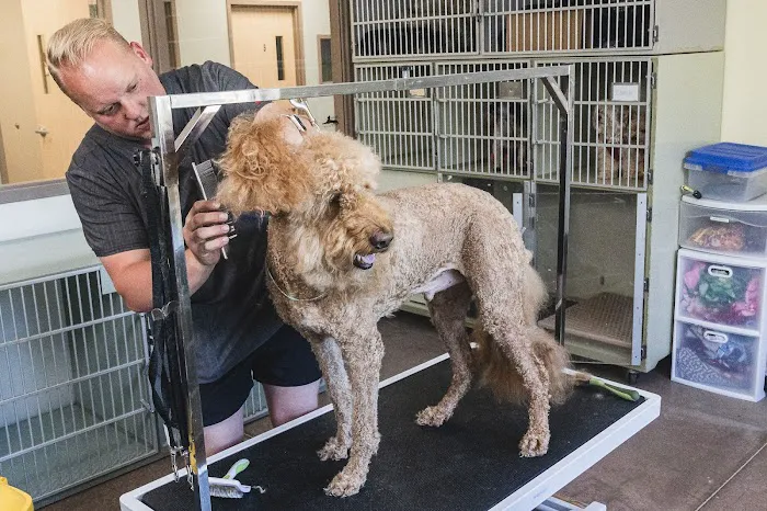 Church Ranch Veterinary Center Picture 8