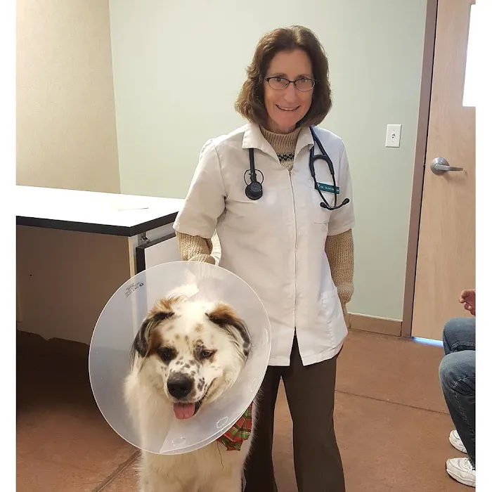 Church Ranch Veterinary Center Picture 6
