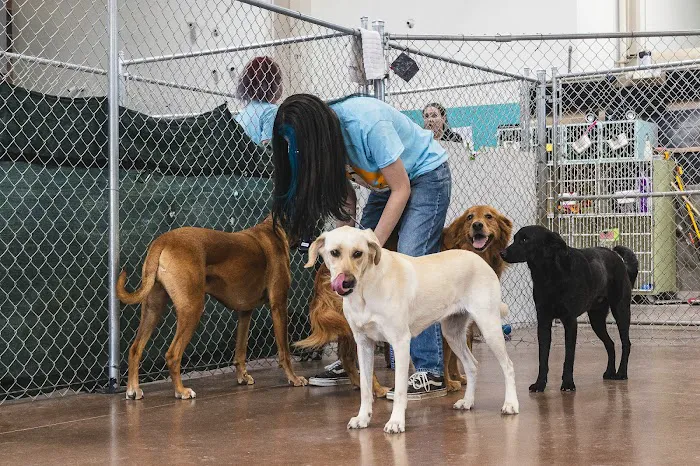 Church Ranch Veterinary Center Picture 9