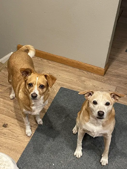 Care Animal Hospital Picture 6