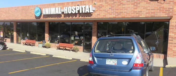Care Animal Hospital Picture 2