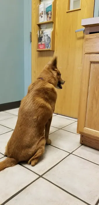 Care Animal Hospital Picture 9