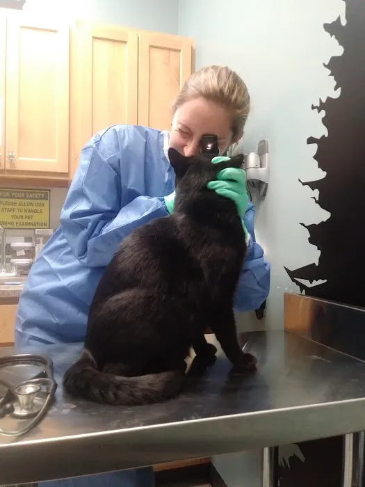Care Animal Hospital Picture 7