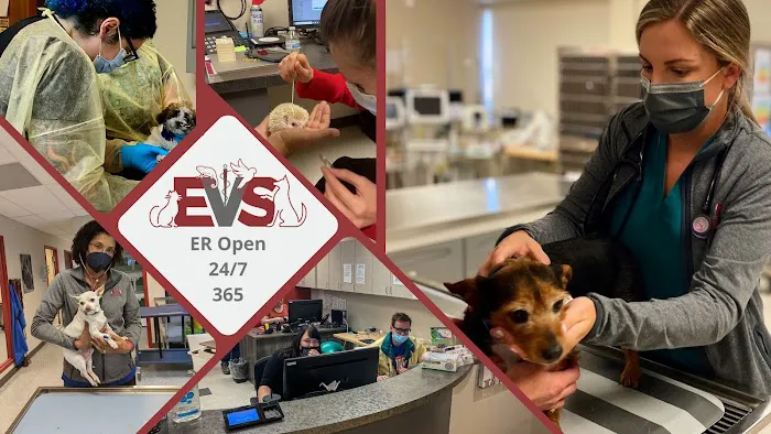 Evolution Veterinary Specialty and Emergency Hospital Picture 1