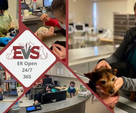 Evolution Veterinary Specialty and Emergency Hospital