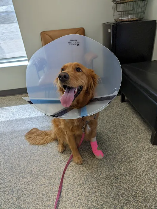 Animal Urgent Care Picture 1