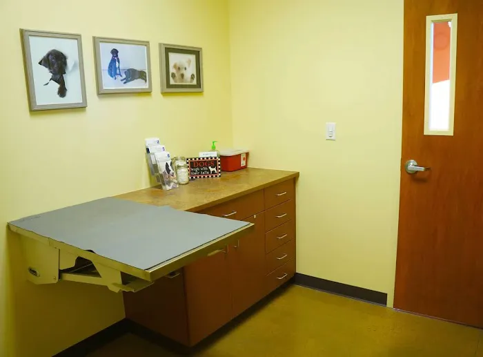 Tower Road Vet Picture 9