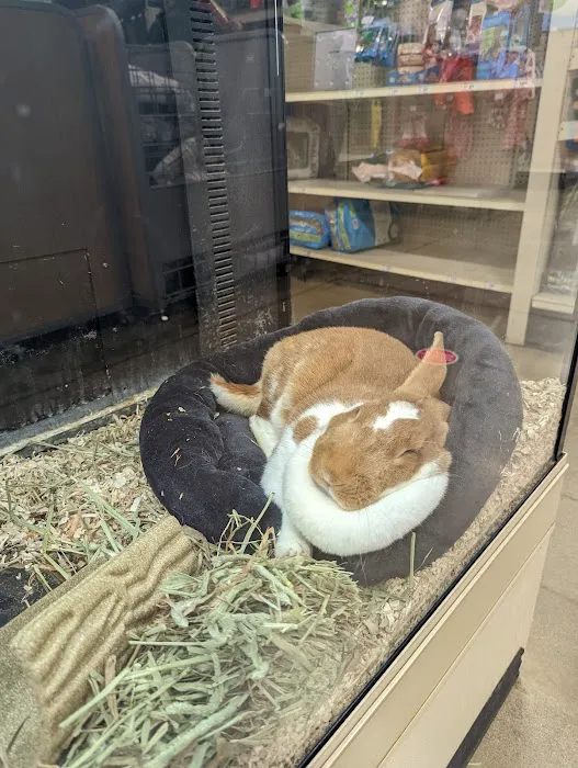 Banfield Pet Hospital Picture 5