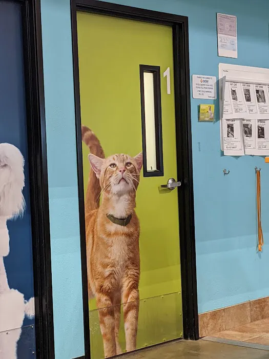 Banfield Pet Hospital Picture 8