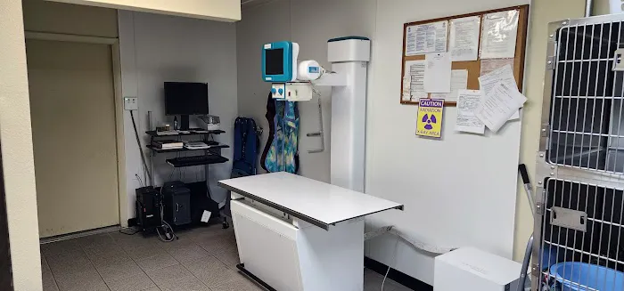Special Friends Veterinary Clinic & Grooming Picture 6