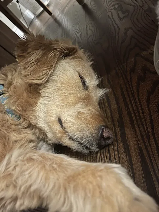 Mesa Veterinary Hospital Picture 7