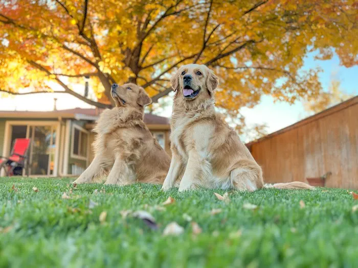 Mesa Veterinary Hospital Picture 3