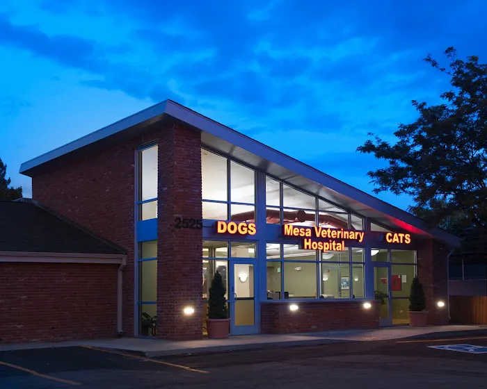 Mesa Veterinary Hospital Picture 1