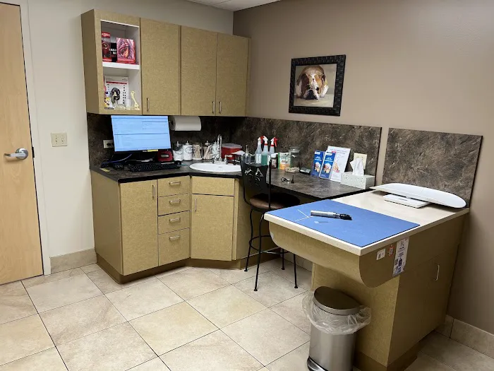 Mesa Veterinary Hospital Picture 2