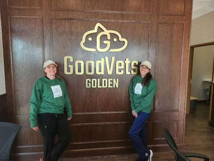 GoodVets Golden Picture 8