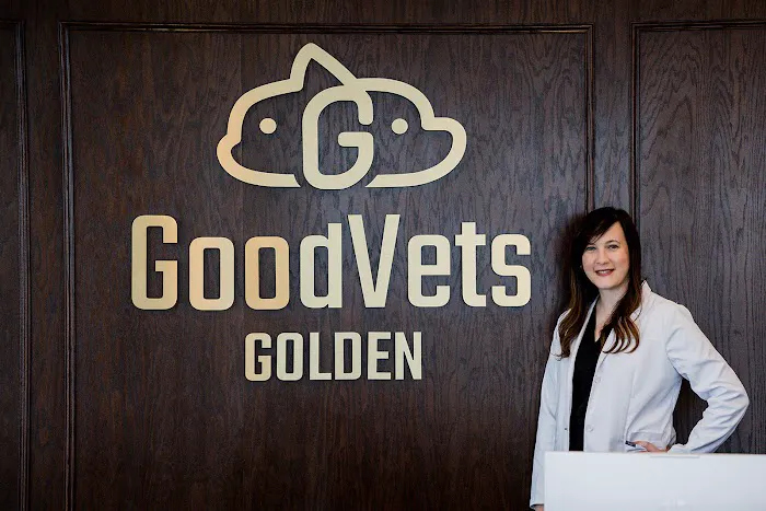 GoodVets Golden Picture 9